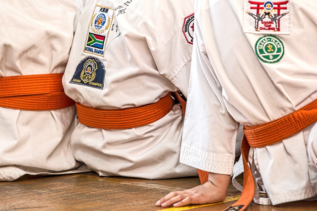 Rekreacja i sport: Karate
