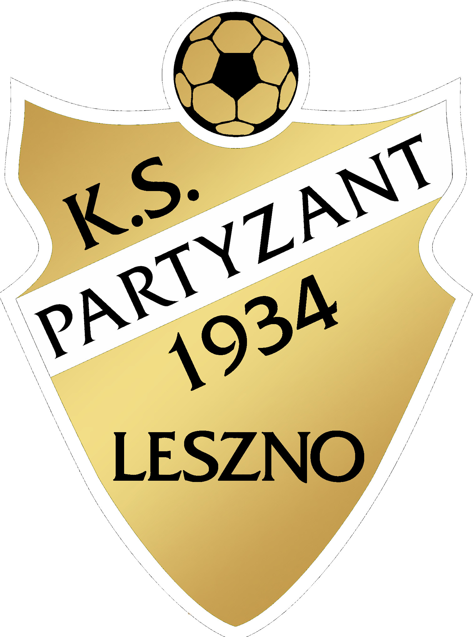 Partyzant Leszno 2013/14A