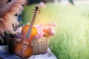 Skrzypce - lekcje indywidualne; K. Dubaniowska