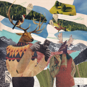 kolażLove warsztaty