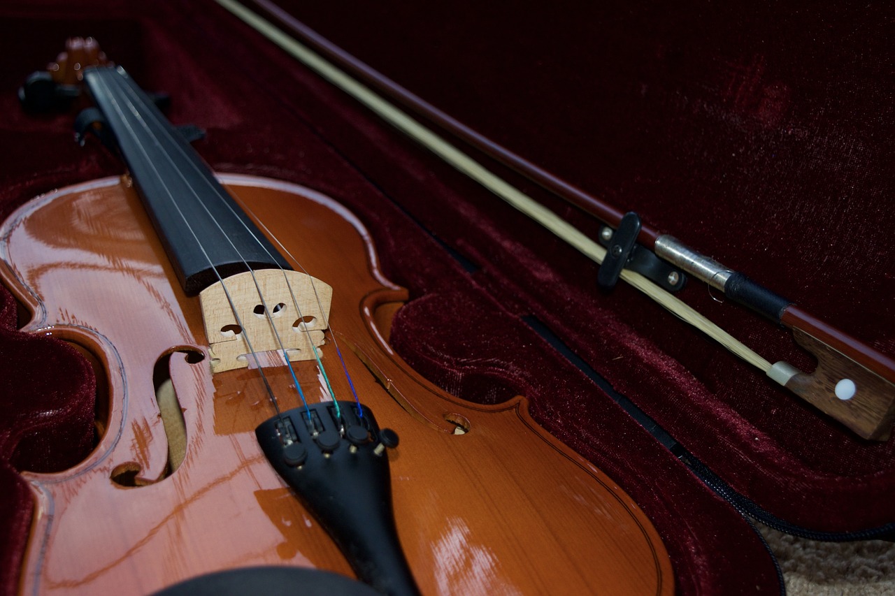 Zajęcia muzyczne - nauka gry na skrzypcach