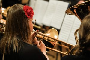 Puzon - nauka gry na instrumencie MOD "Akord"