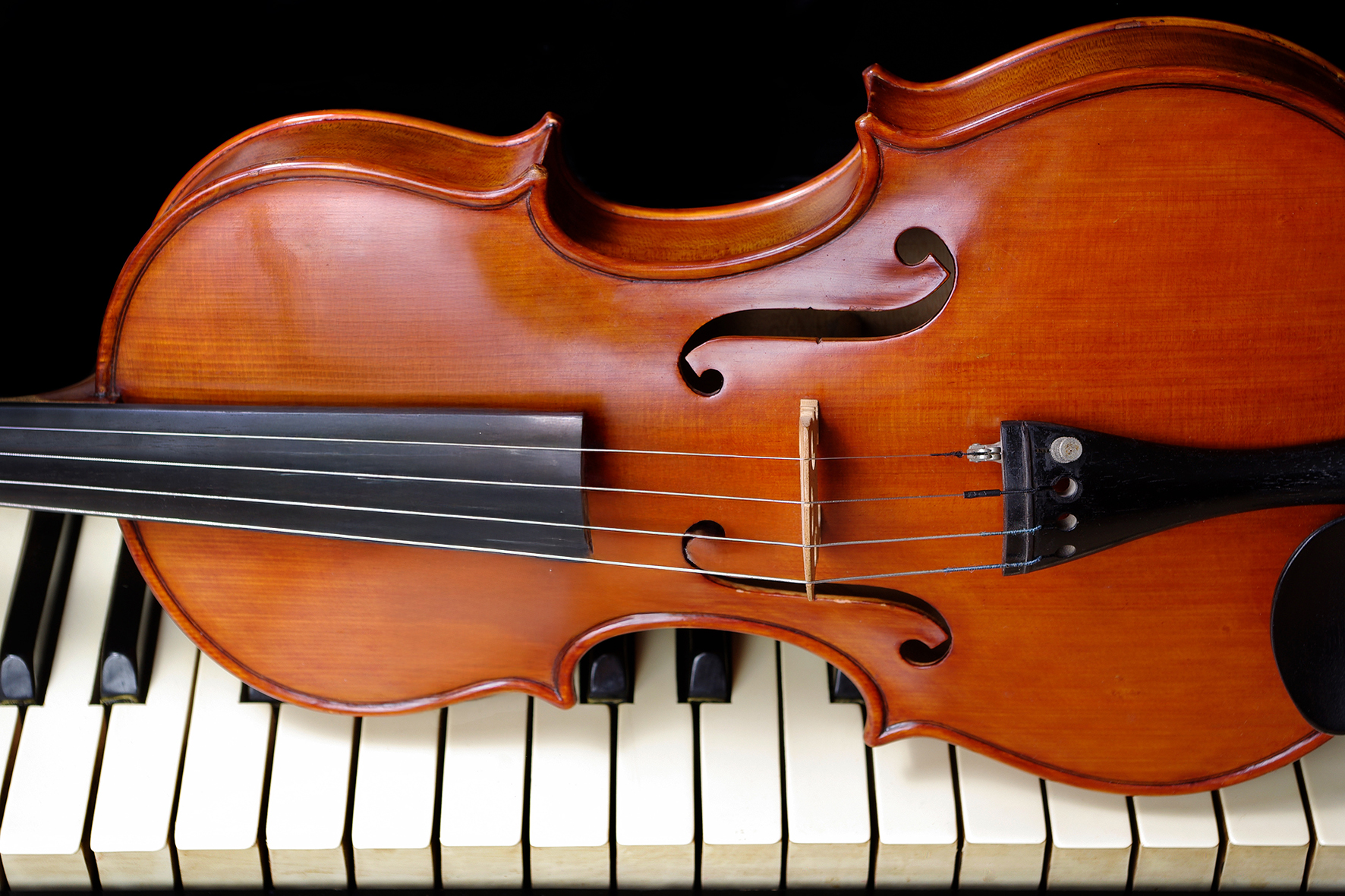 Sekcja skrzypiec/pianina | Ewa Dragon