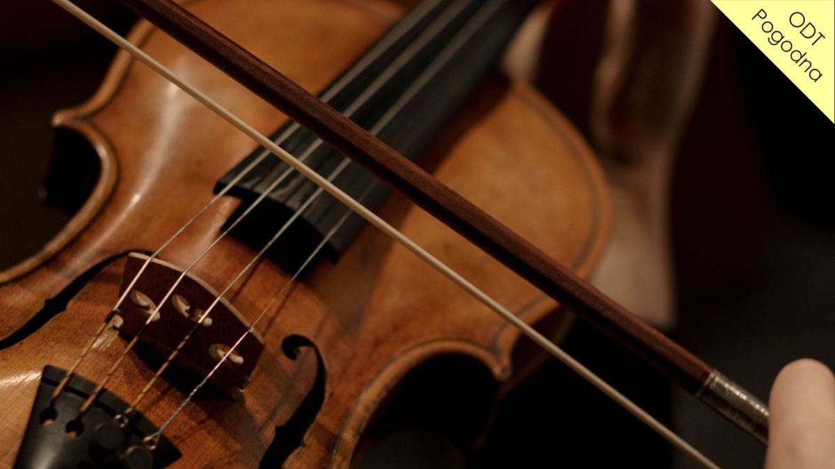 SKRZYPCE - NAUKA GRY