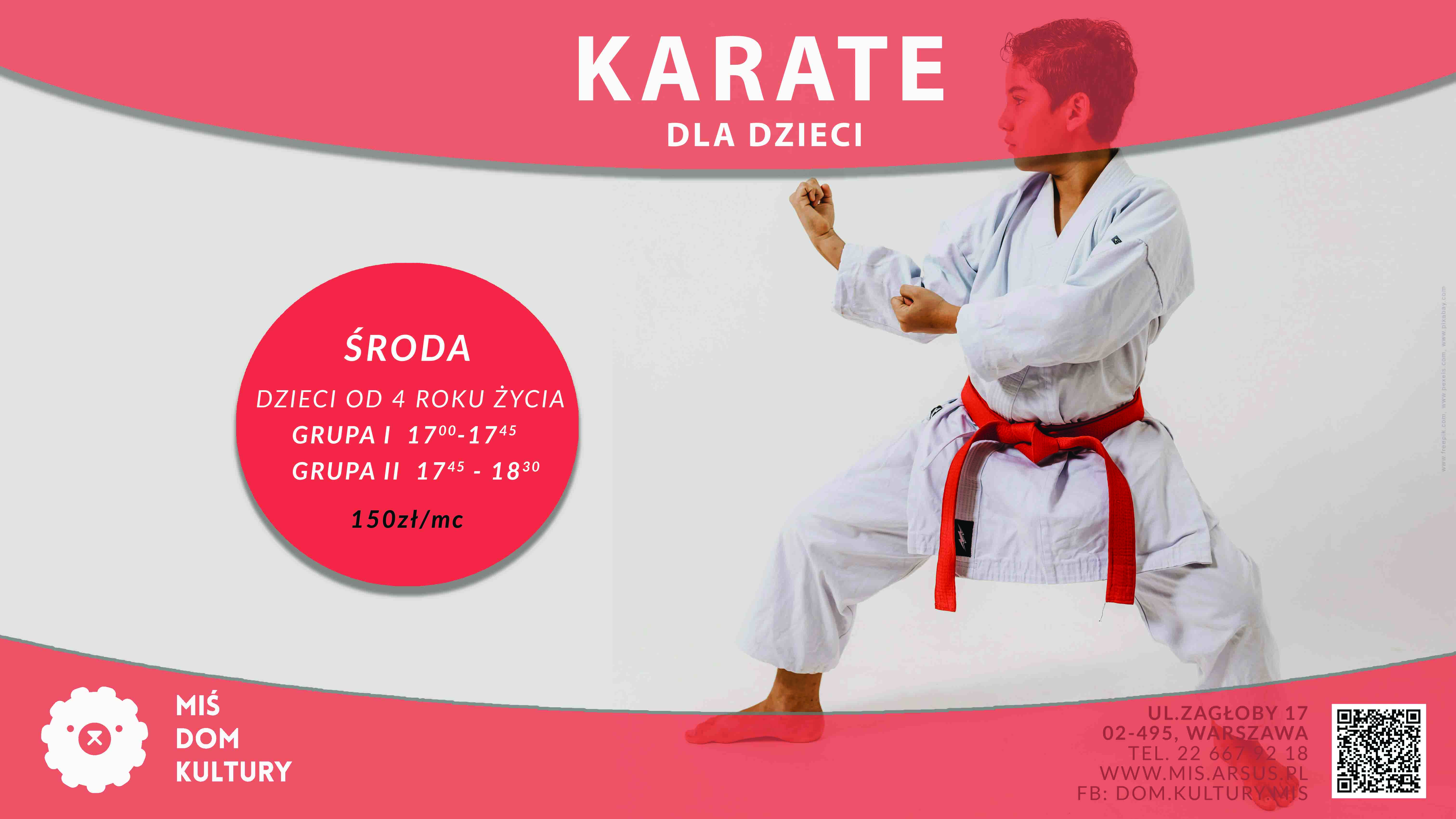 Karate kids w Misiu