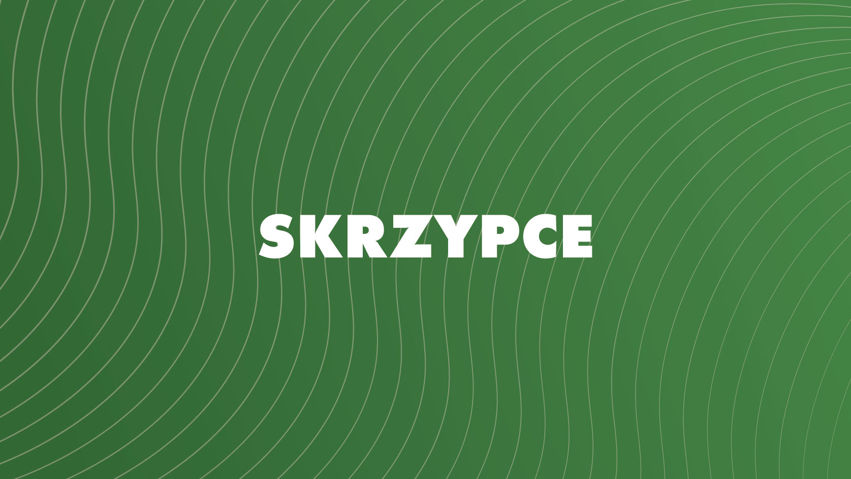 Skrzypce. Hanna Zhohlava - Branickiego