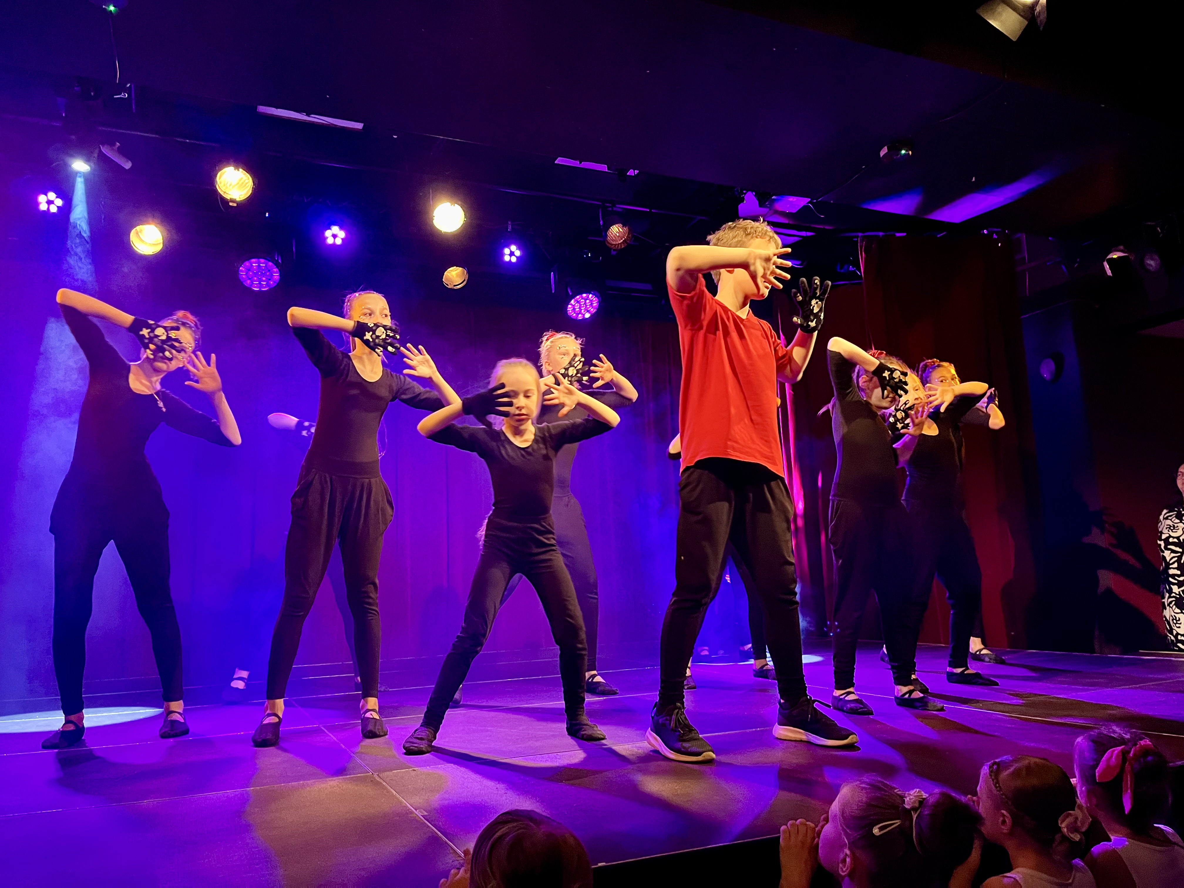 zespół taneczny Indygo