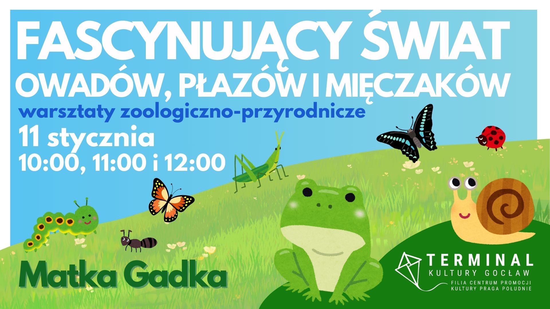 Fascynujący świat owadów, płazów i mięczaków; tych pięknych jak i tych jadalnych - warsztaty zoologiczno-przyrodnicze