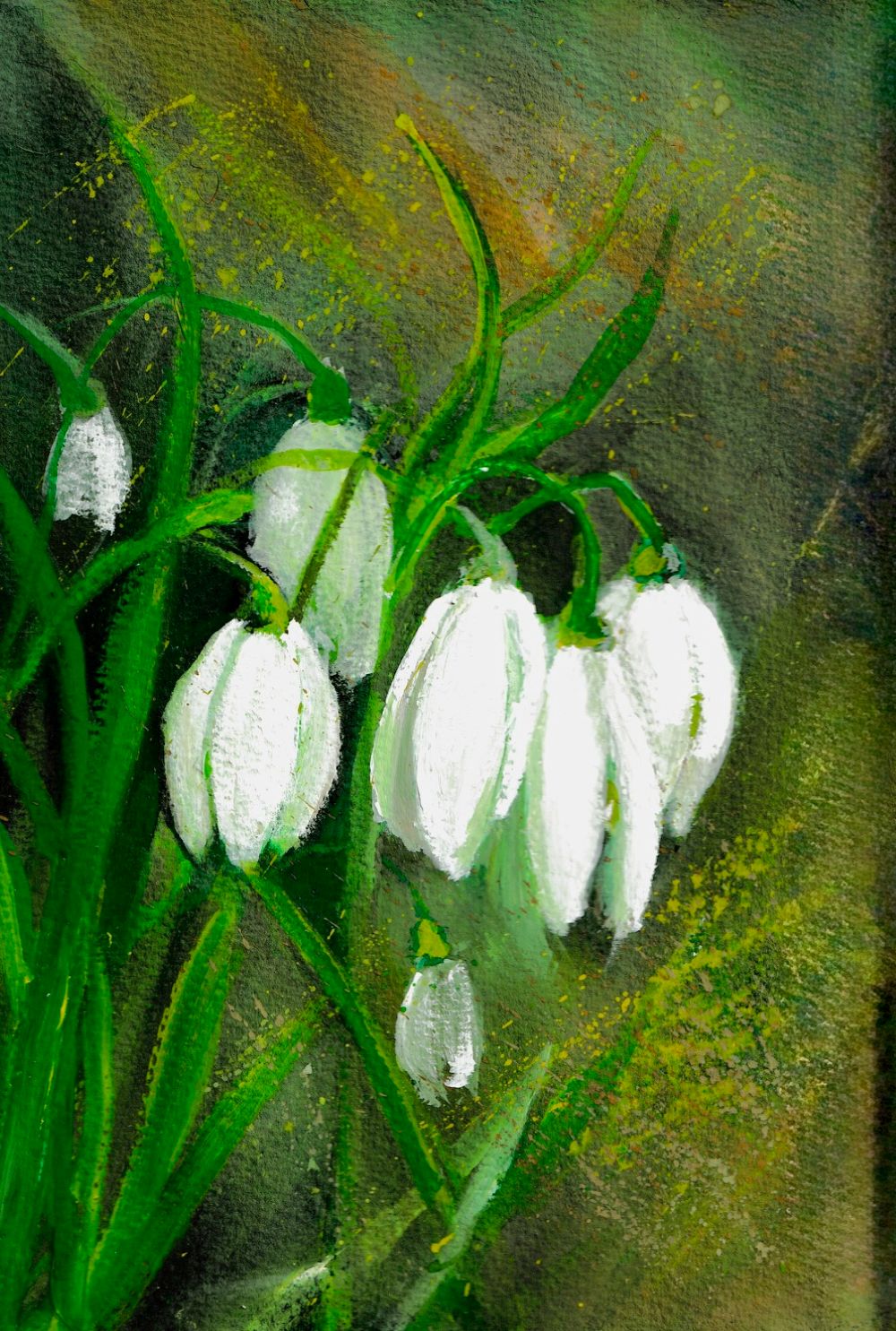 Gwasz. Wiosenne przebiśniegi.