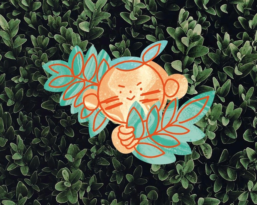 SURWIWAL DLA NAJMŁODSZYCH – WARSZTATY DLA DZIECI I RODZICÓW