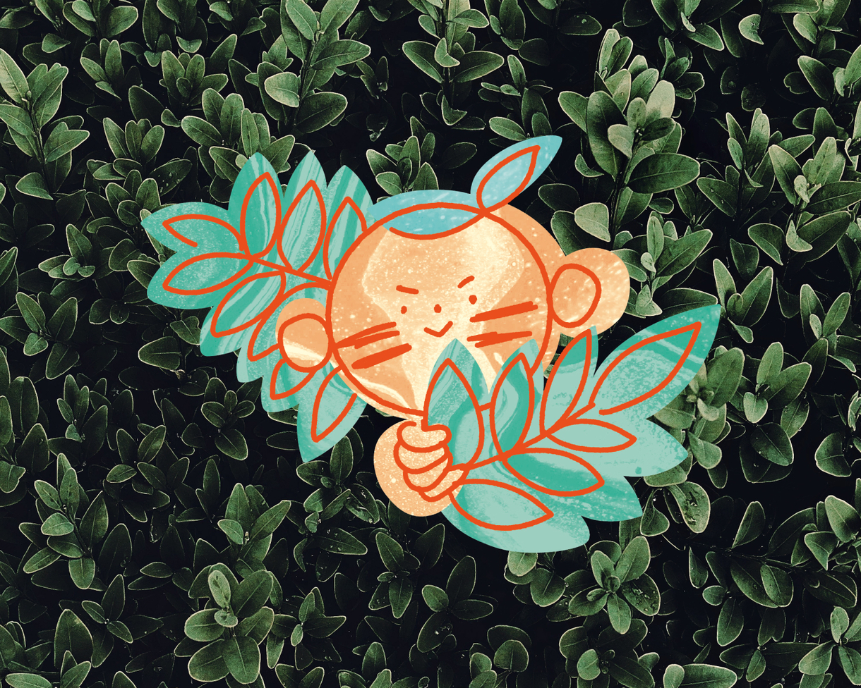 OSTRZE I OGIEŃ - WARSZTATY SURWIWALU DLA DZIECI I RODZICÓW