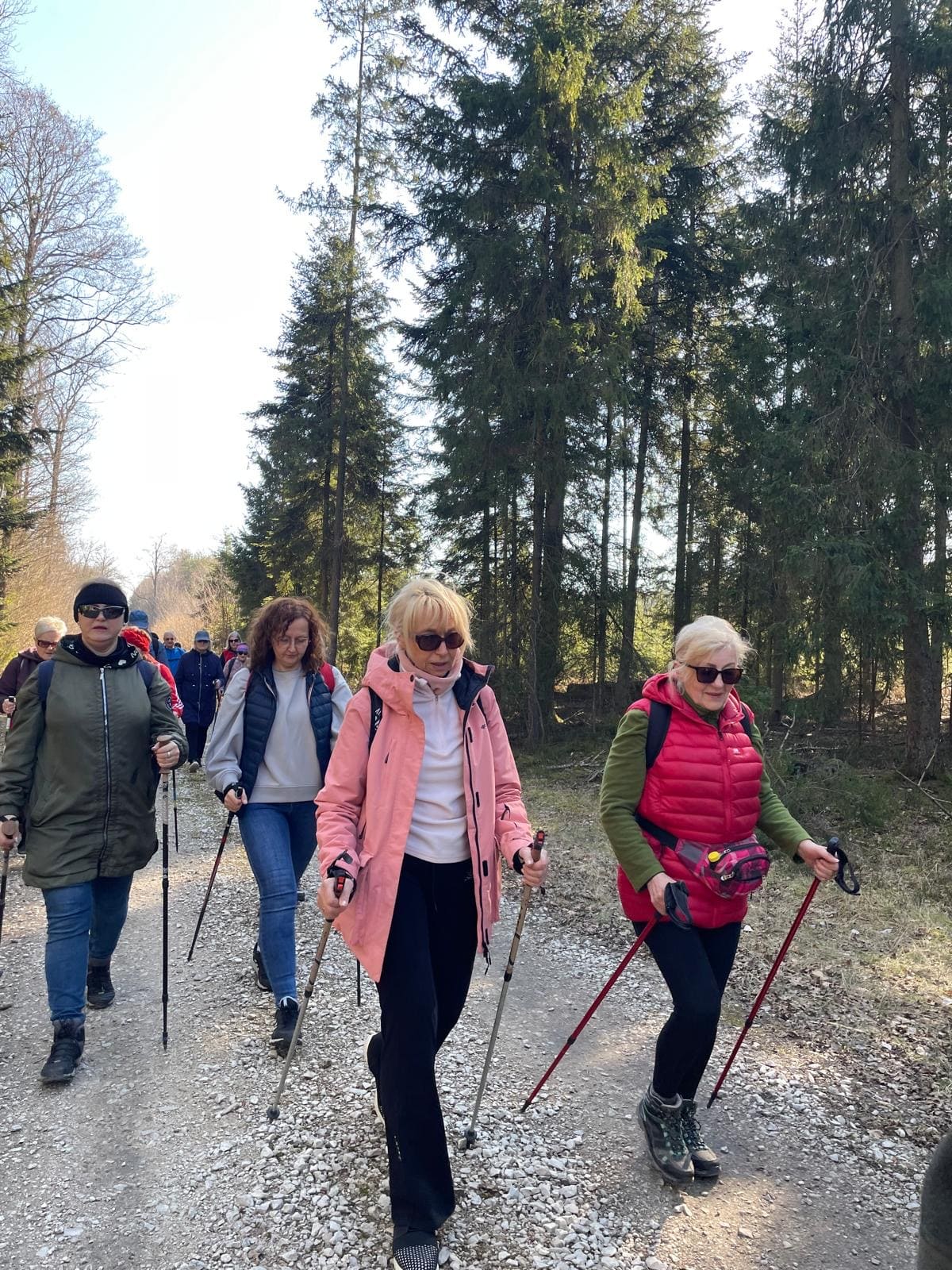 Nordic walking