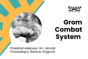 Grom Combat System