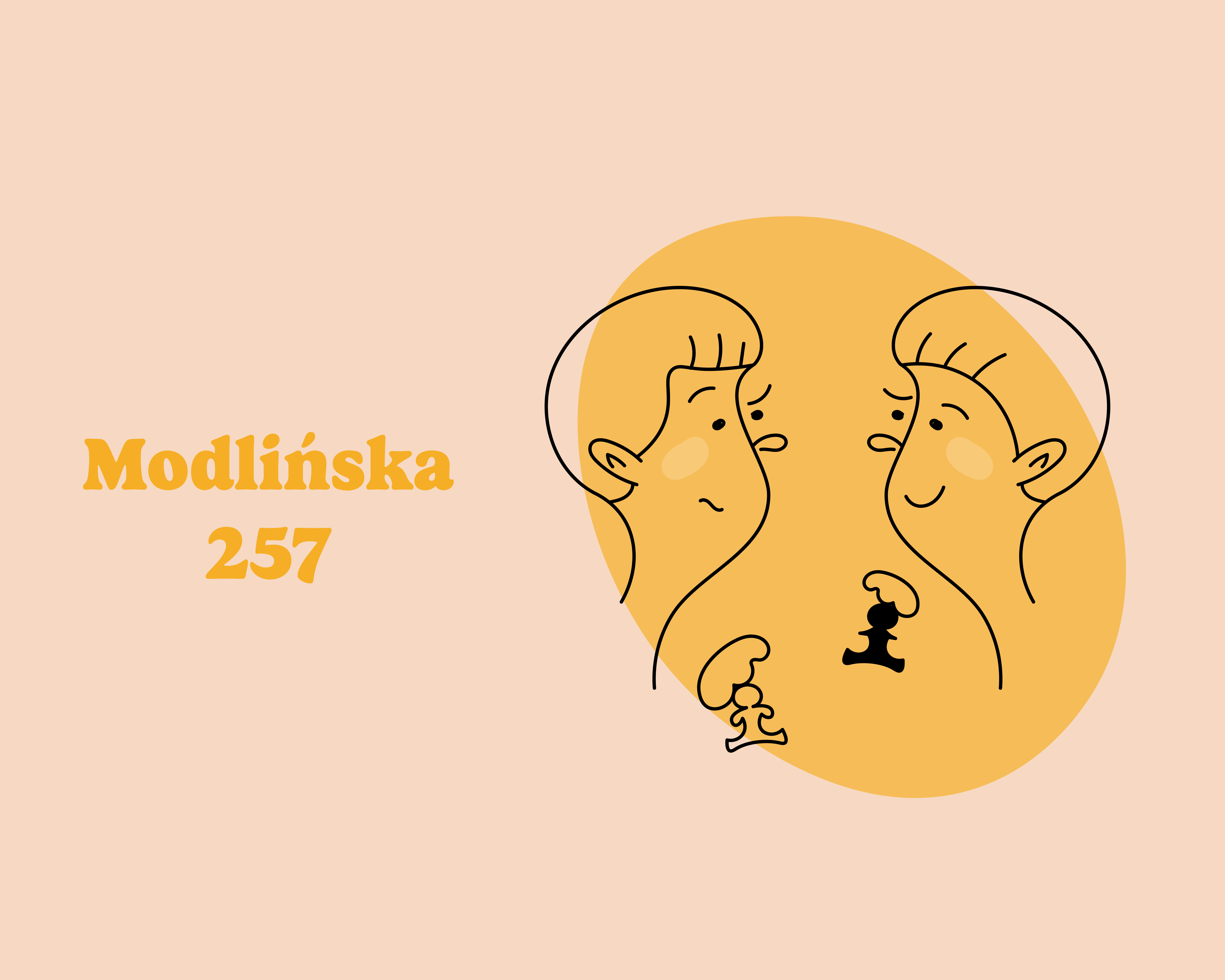 Szachy dla dorosłych M257