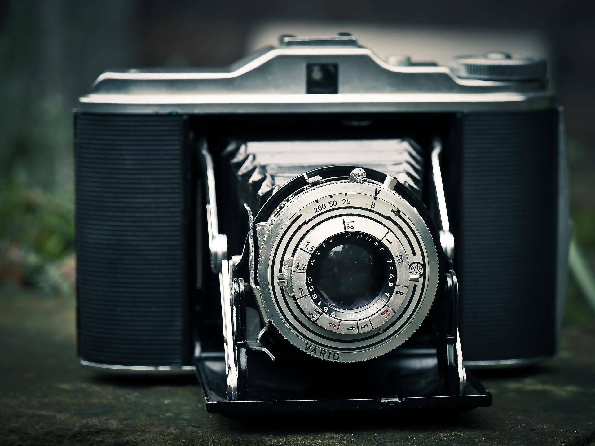 ODPŁATNE MOJE WIDZENIE RZECZYWISTOŚCI – ZAJĘCIA Z FOTOGRAFII (110 zł za miesiąc)