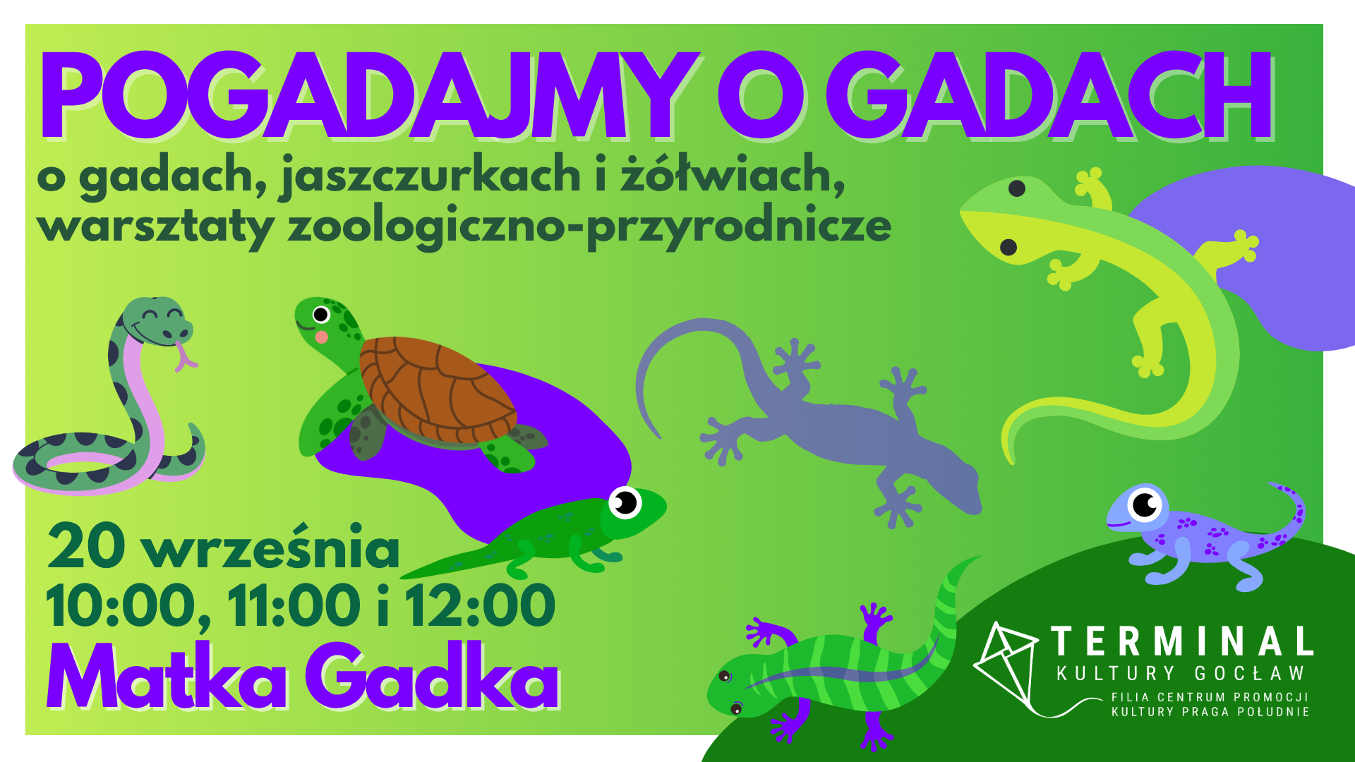 PoGADajmy o GADach - o gadach, jaszczurkach i żółwiach, warsztaty zoologiczno-przyrodnicze