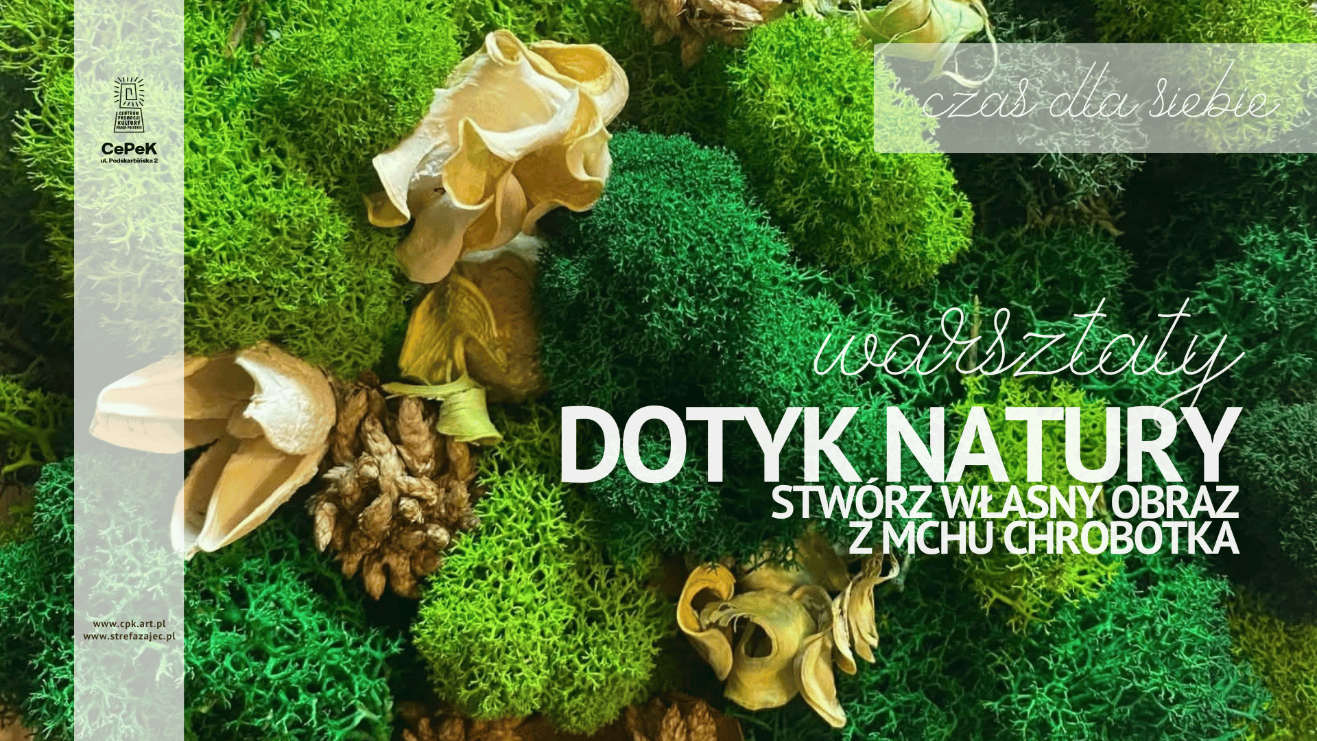 Dotyk natury – stwórz własny obraz z mchu chrobotka - Adrianna Pawłowicz - CEPEK