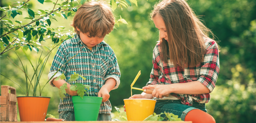 NUD - Wydział Ochrony Środowiska